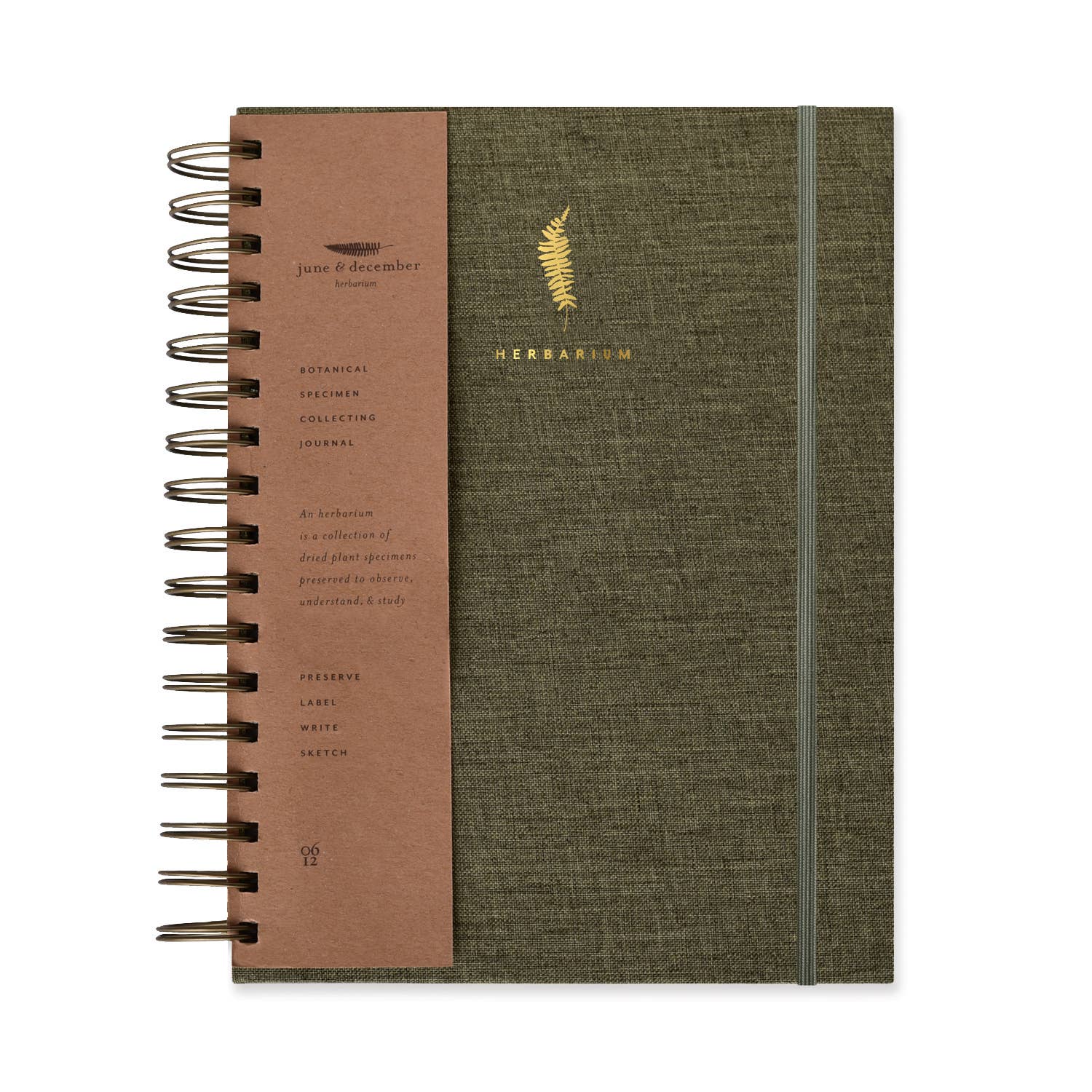 Fern Herbarium Journal / Forest Green