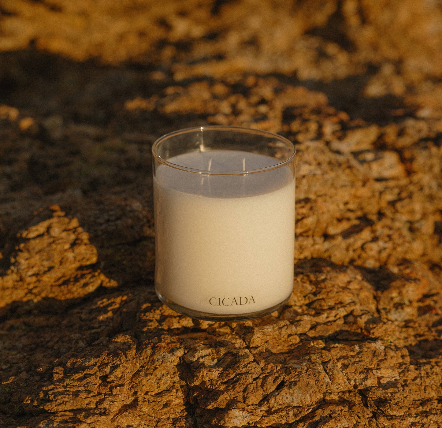 No. 09 Large Candle - Prickly Pear