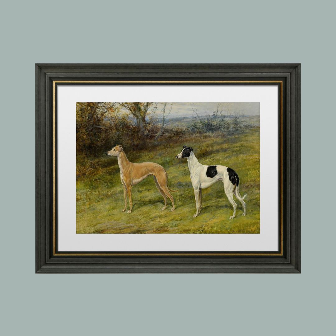 Greyhounds in Wales Antique Art Print