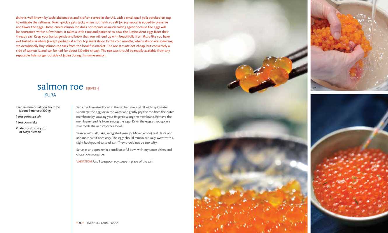 Japanese Farm Food by Nancy Singleton Hachisu