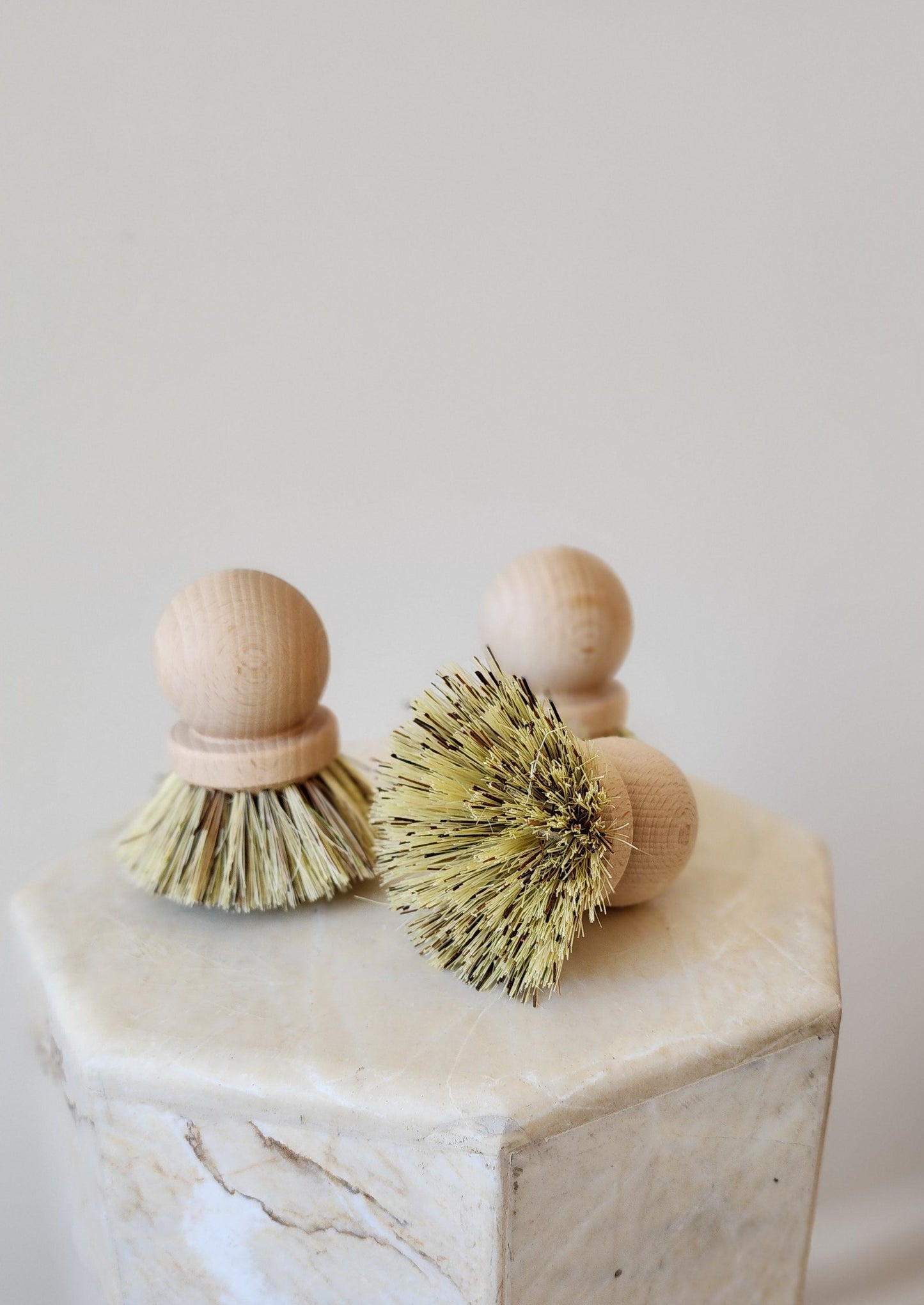 Imported Saucepan Brushes