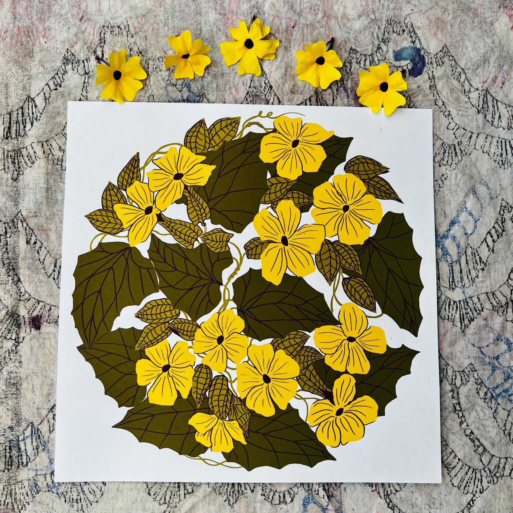 Black Eyed Susan Vine - 12x12 Print