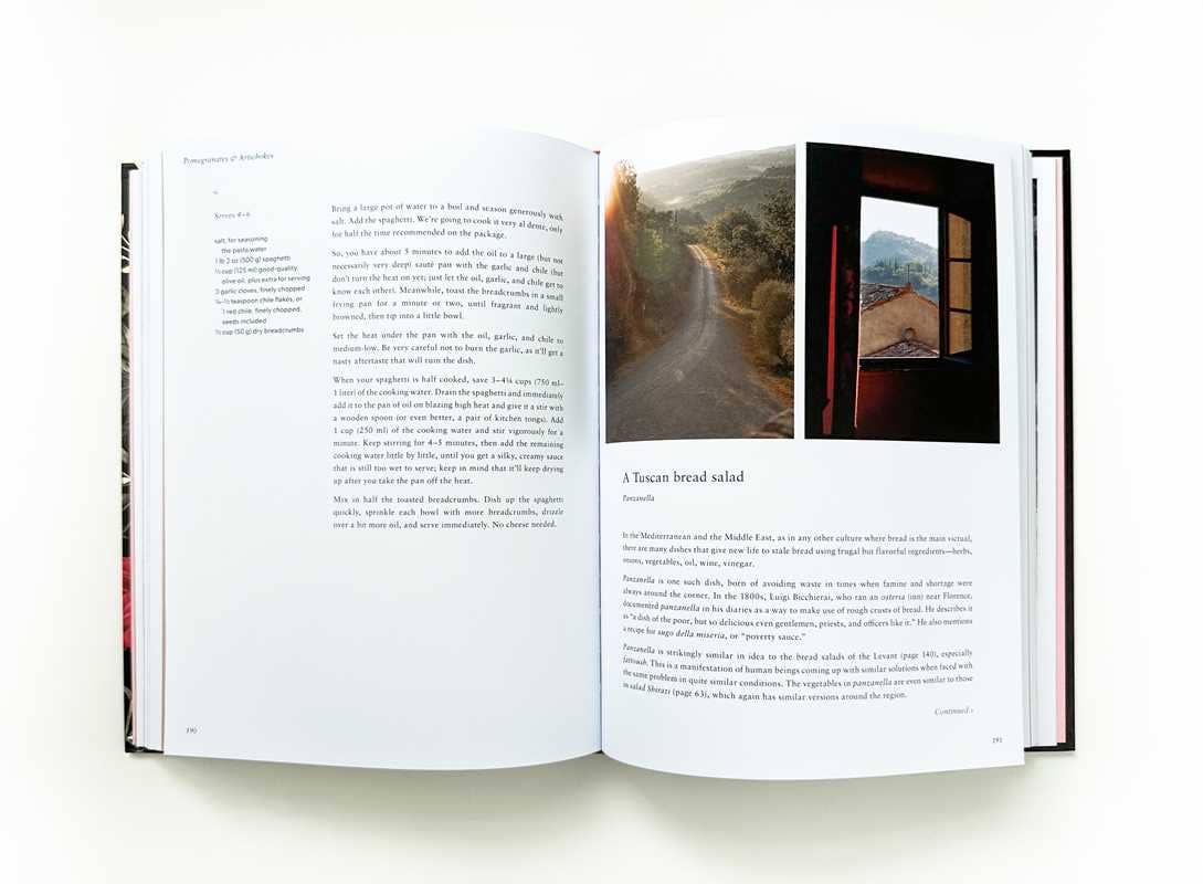 Pomegranates and Artichokes by Saghar Setareh