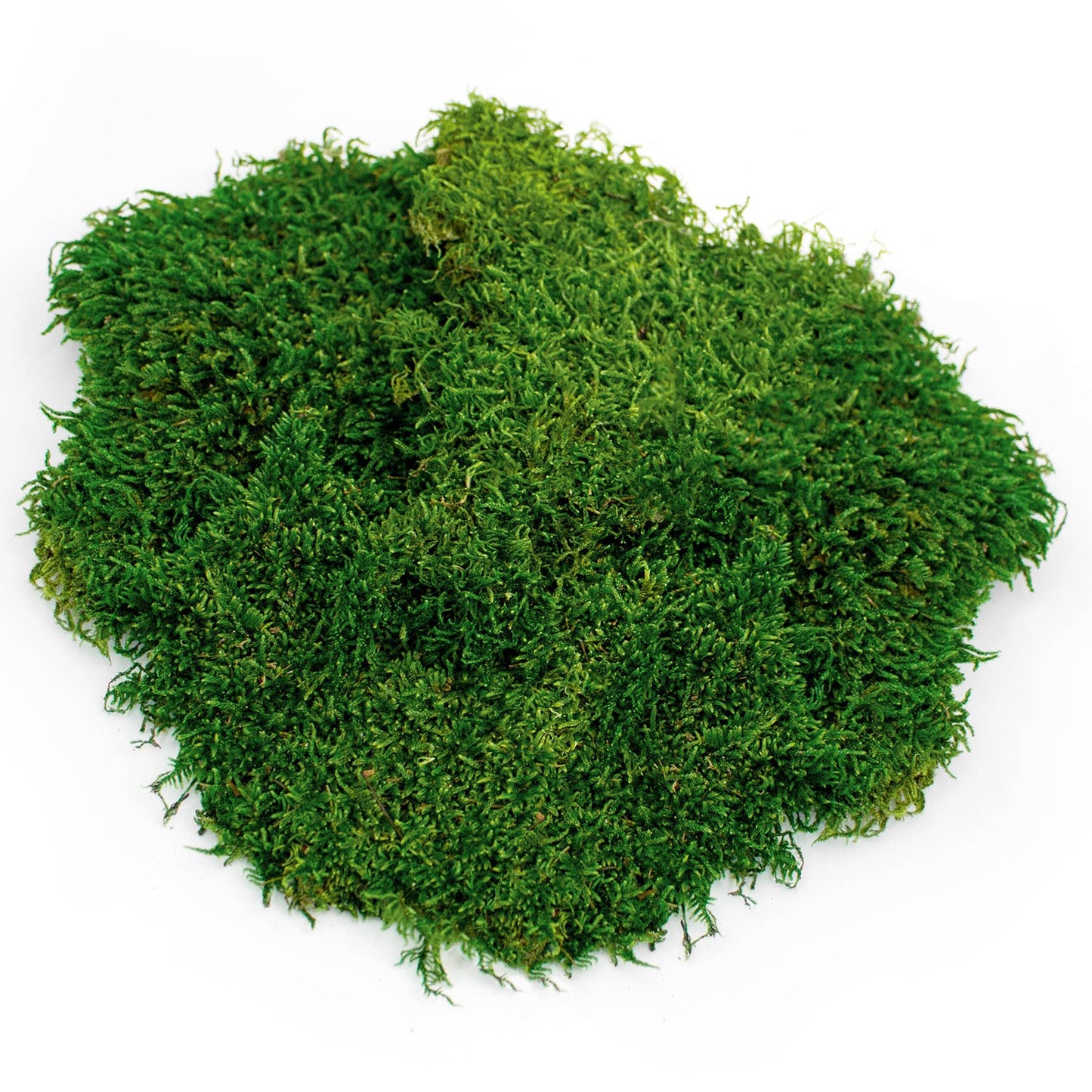 Sheet Moss PR Bulk 20-24ft² FG 3lb