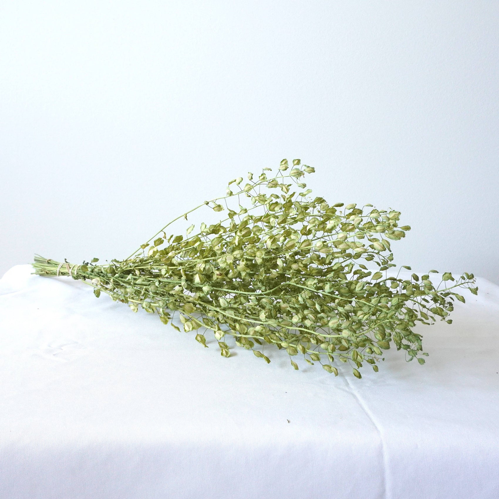 Cress