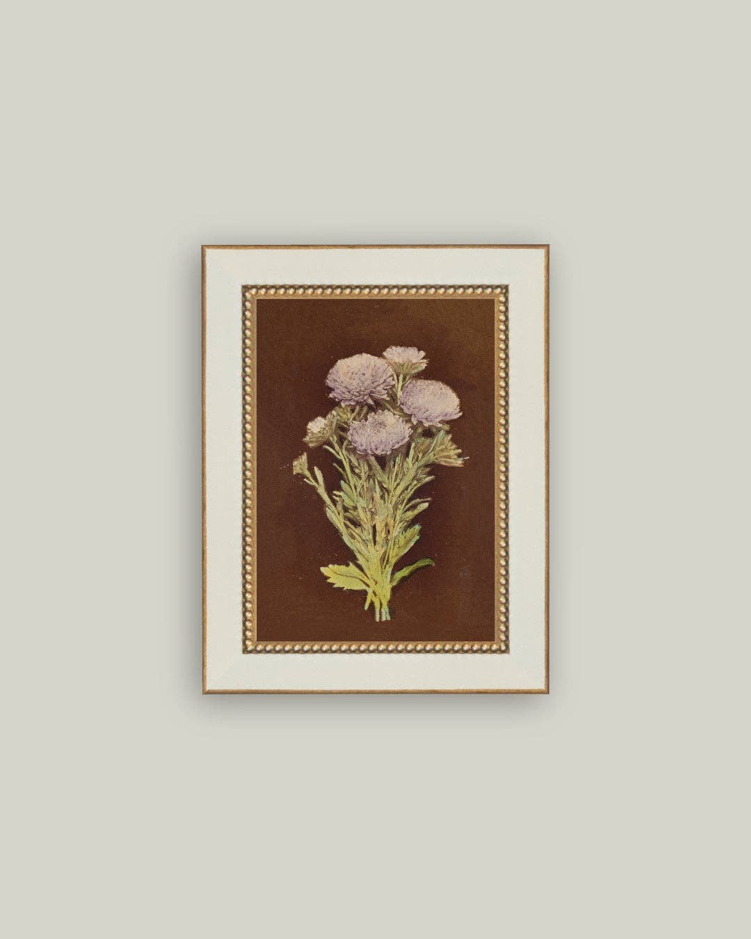 Lilac Dahlia on Brown: 4x6