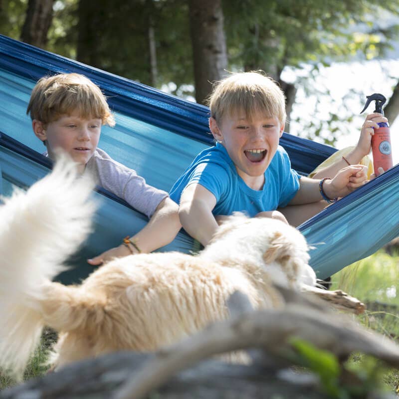 Natural Bug Repellent Spray For Dogs: 16 oz