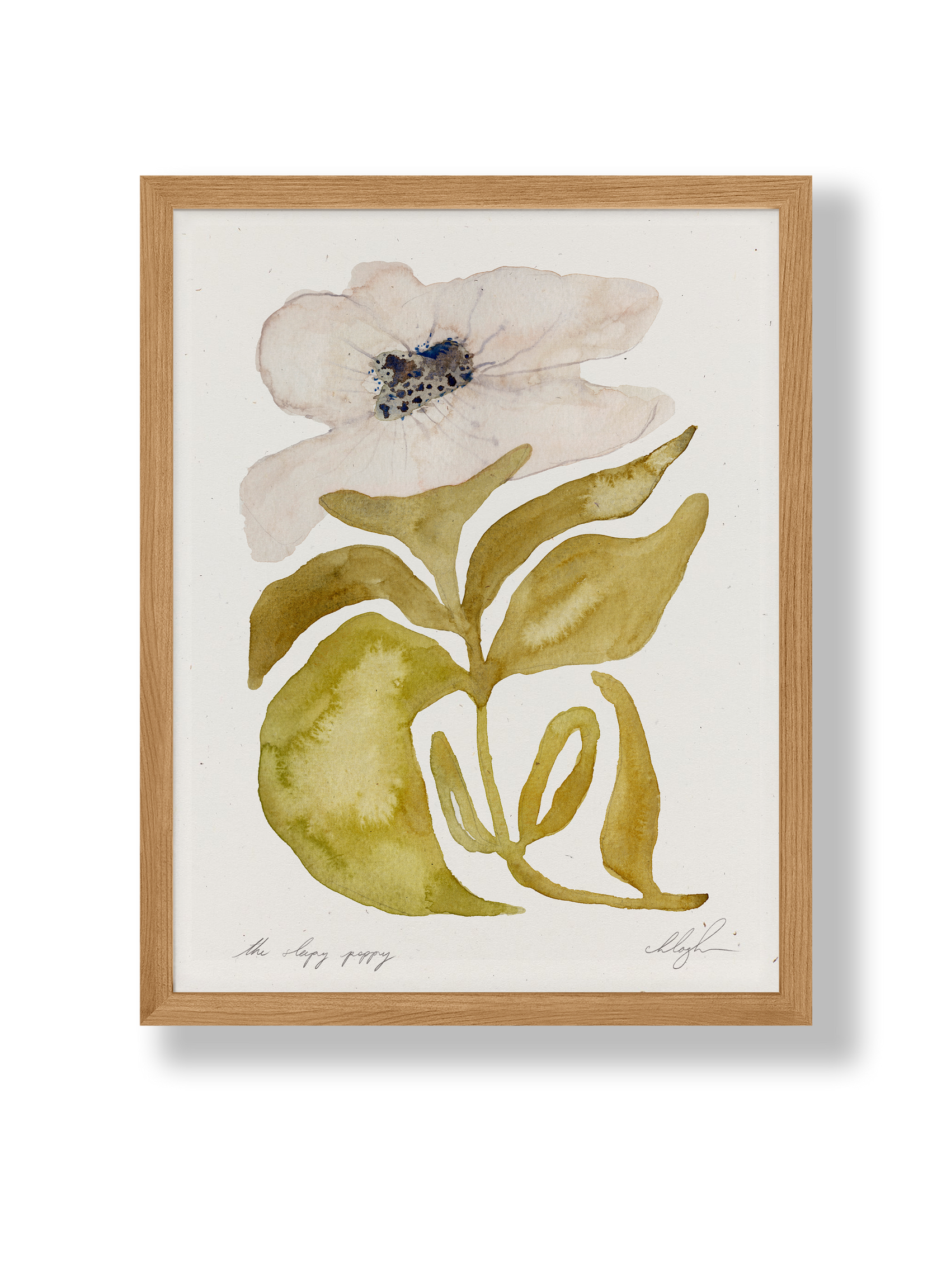 Poppy: 8.5 x 11