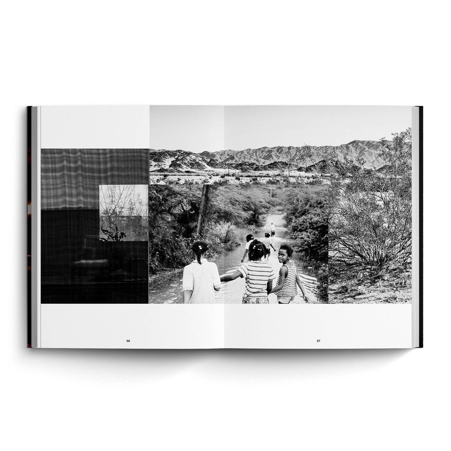 Still Life: Photographs & Love Stories