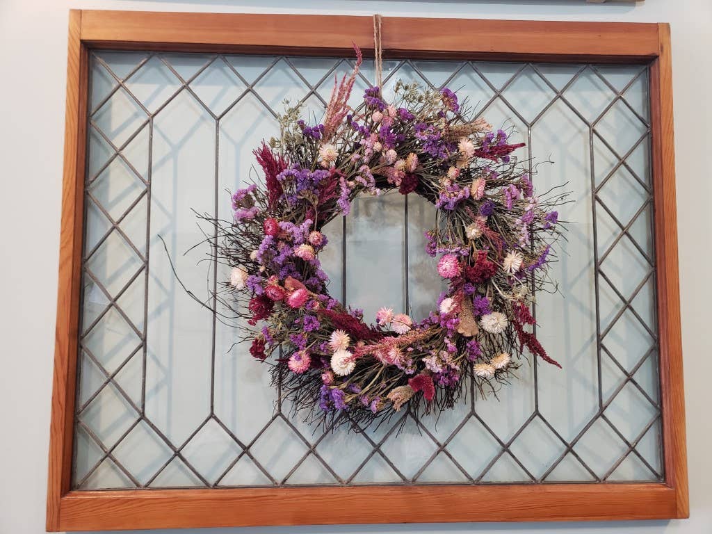 Strawflower-Silvery Rose