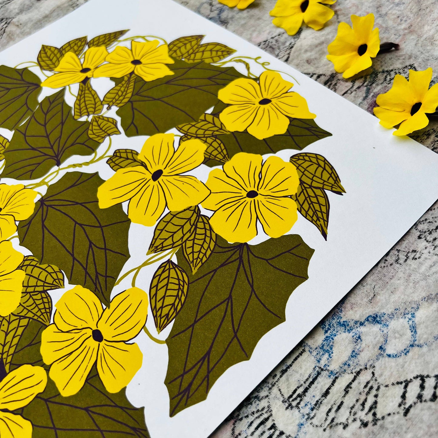 Black Eyed Susan Vine - 12x12 Print