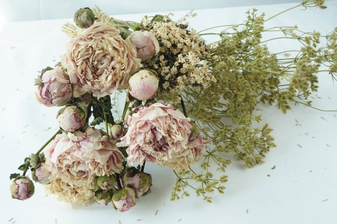 Orlaya-Seeded, Dried Flowers, Dried Flower Bunch