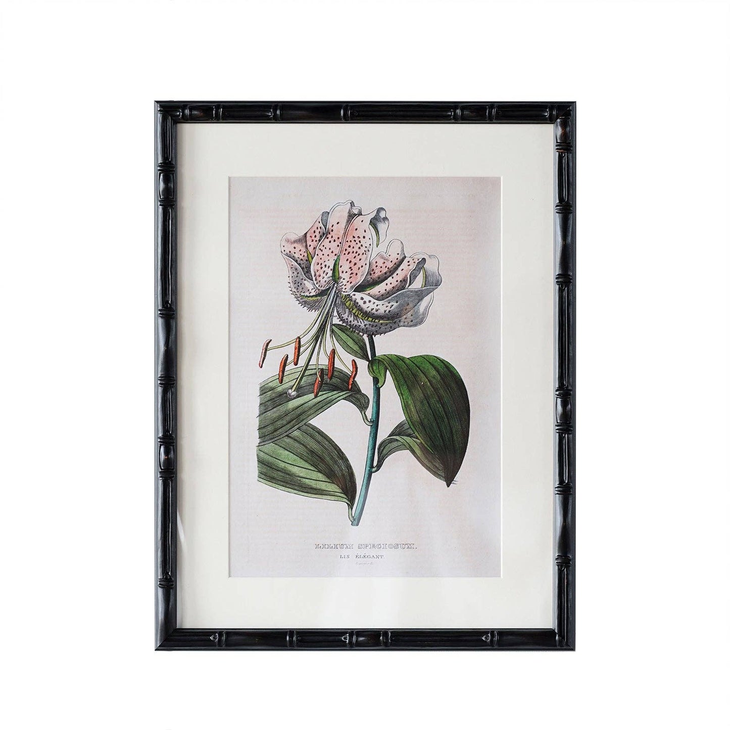 Castleford Matted Frame: 5"x7" w. Stand