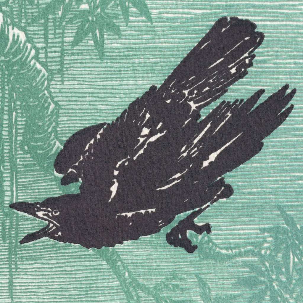 Rook