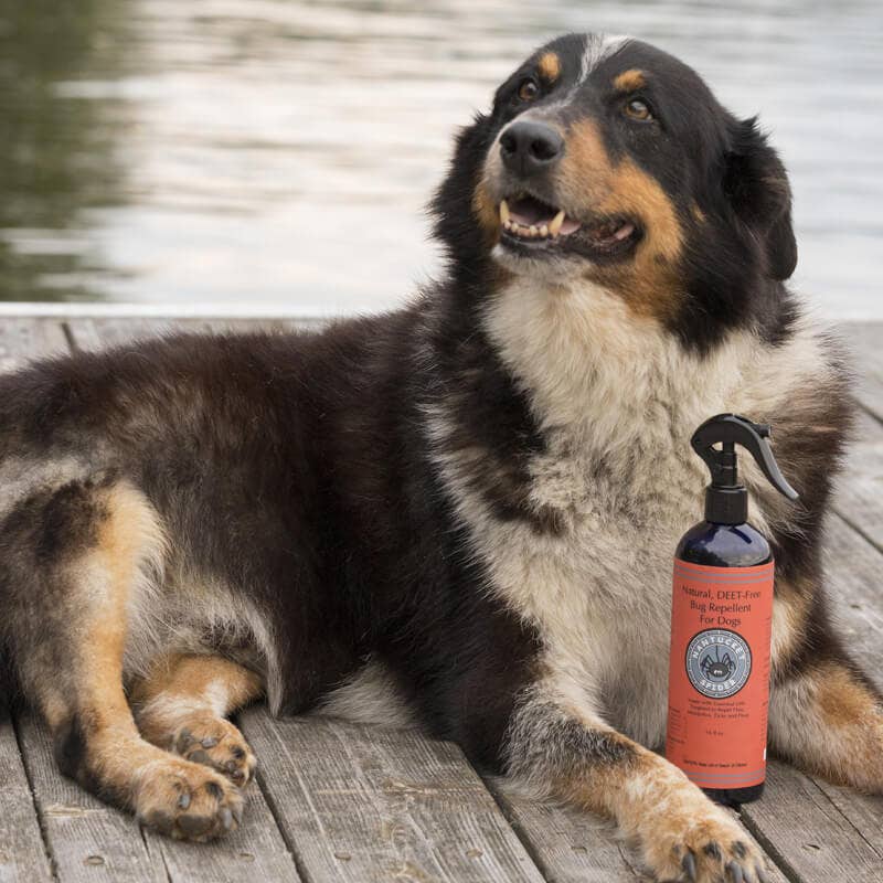 Natural Bug Repellent Spray For Dogs: 16 oz