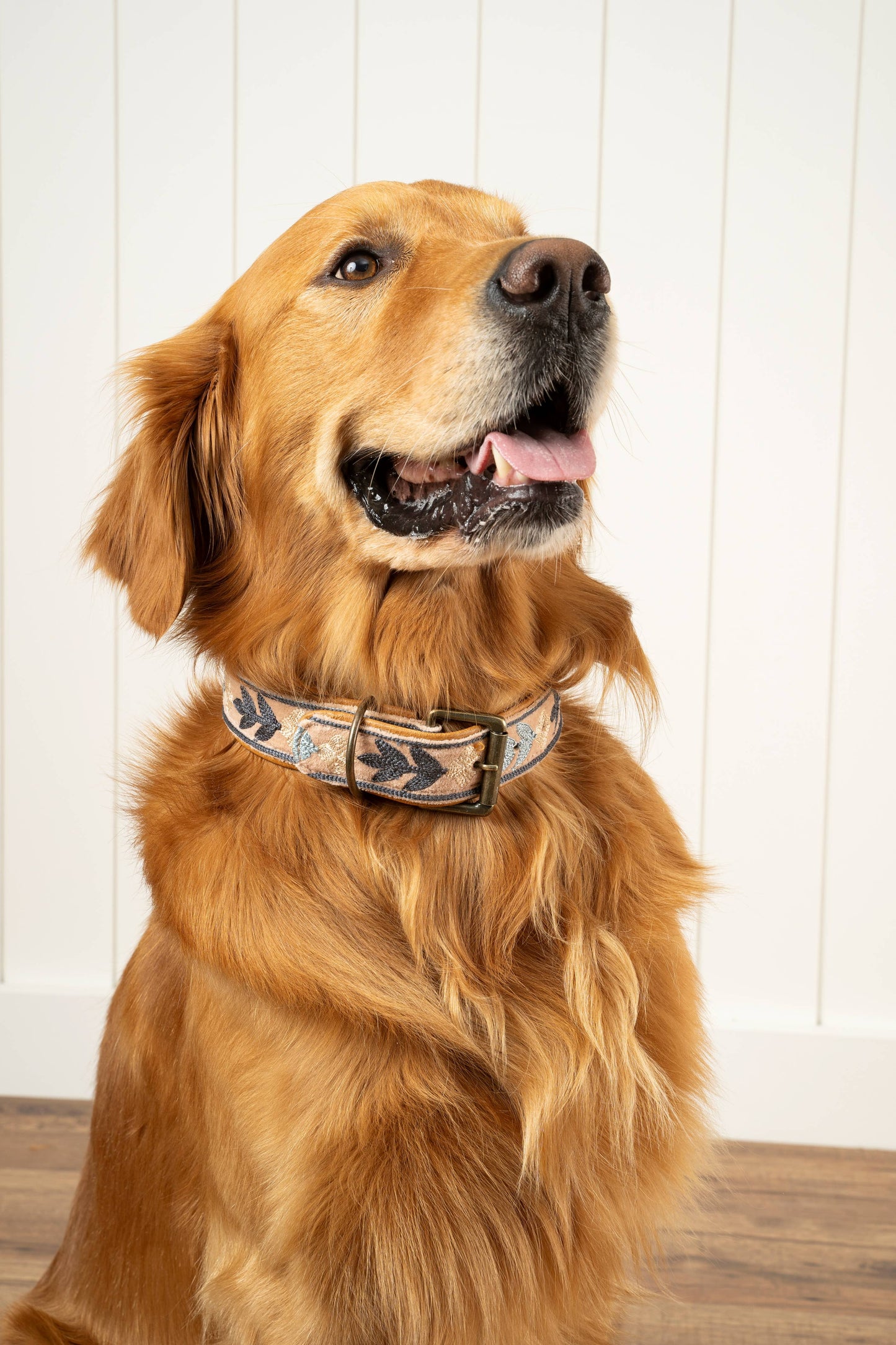Casper Embroidered Dog Collar M