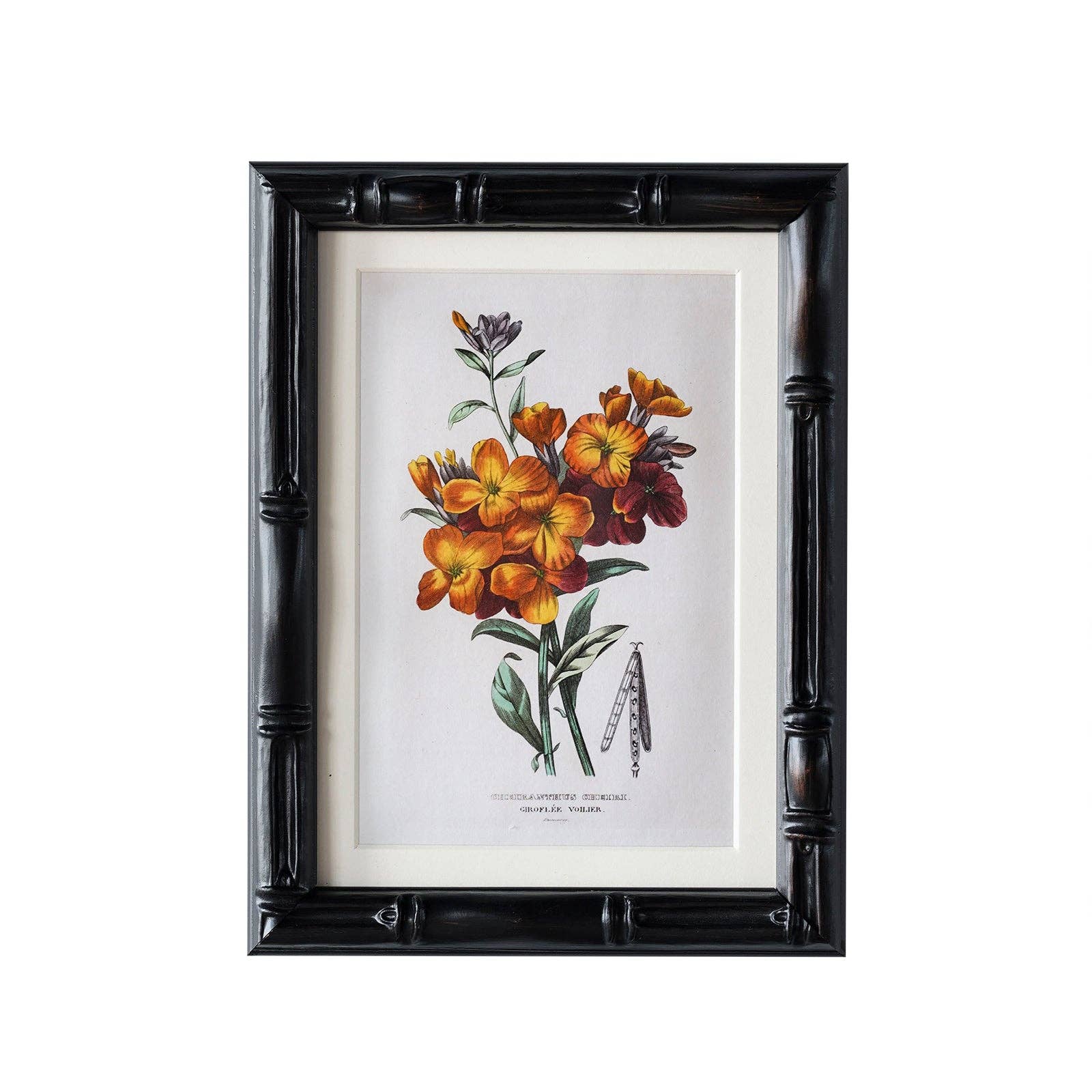 Castleford Matted Frame: 5"x7" w. Stand