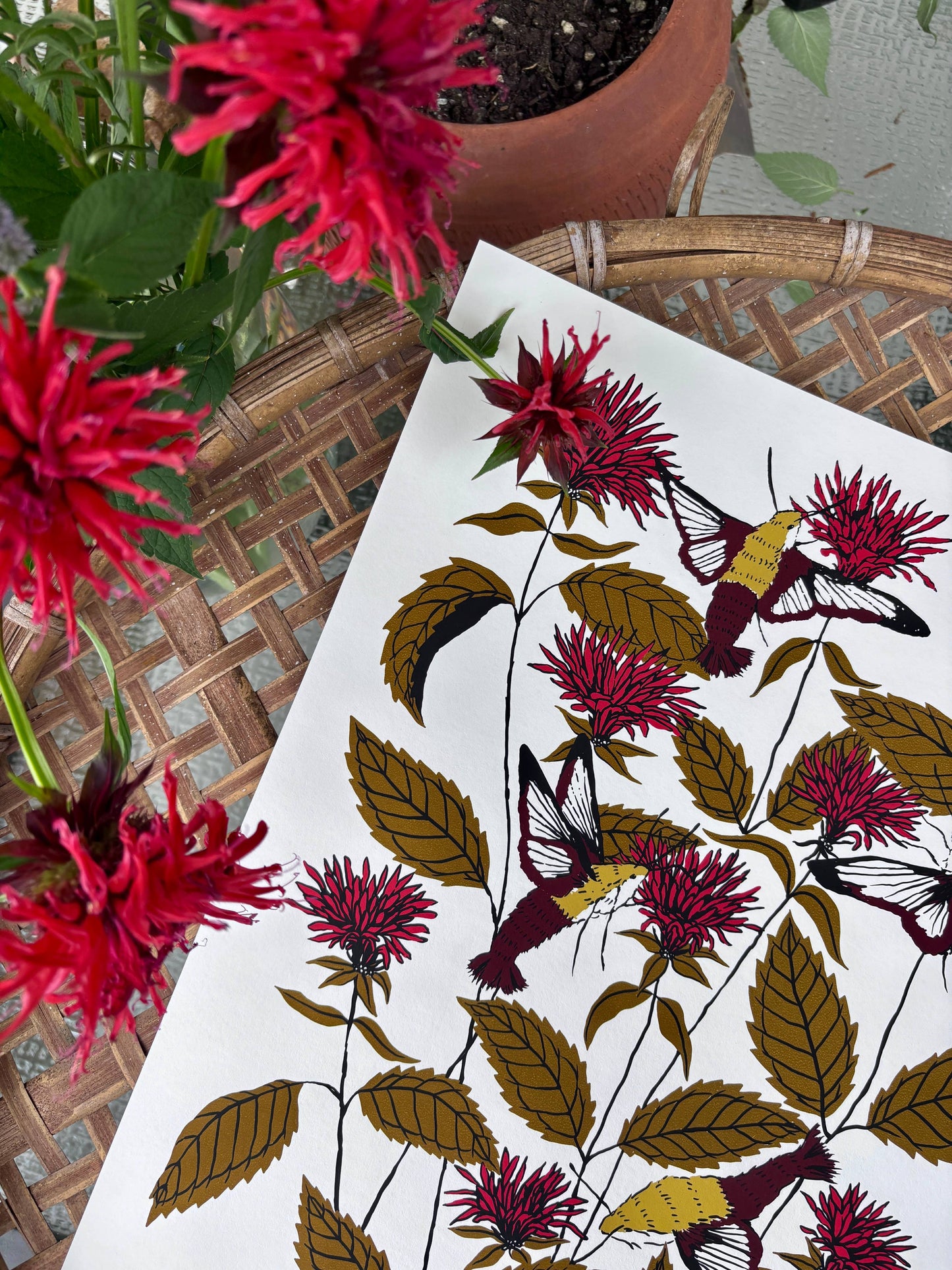 Bee Balm - 14x11 Print