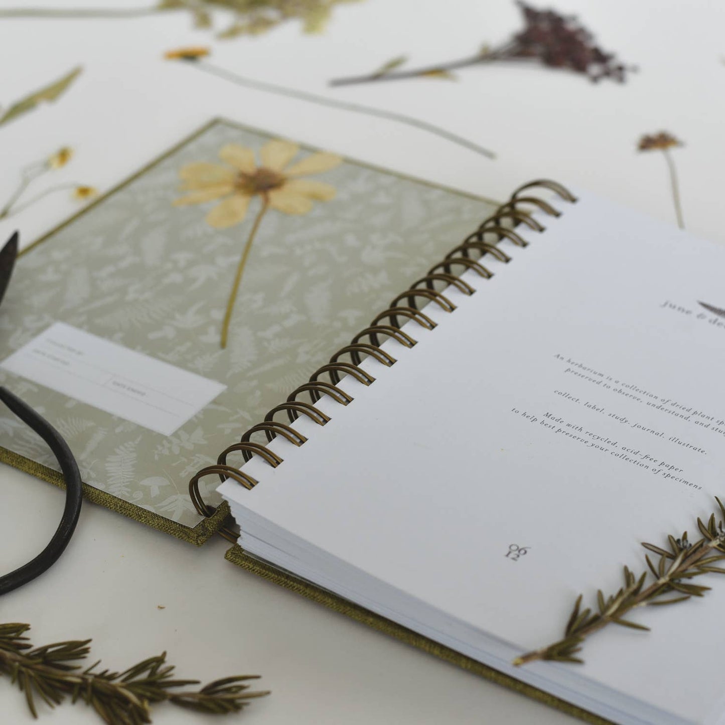 Fern Herbarium Journal / Forest Green