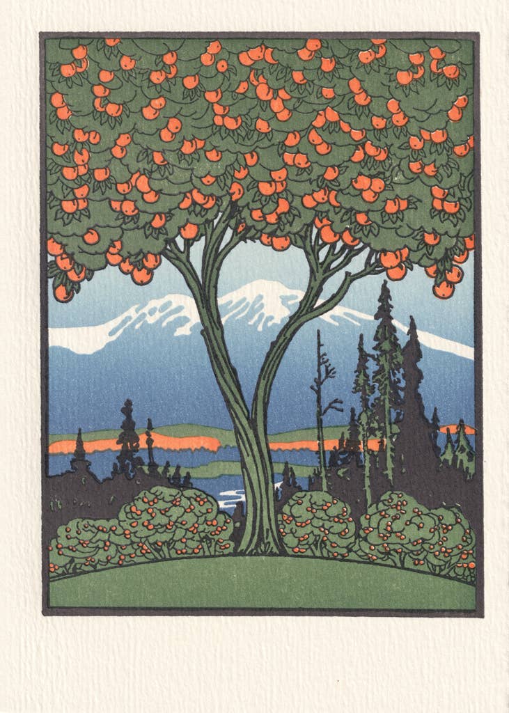 Orange Tree