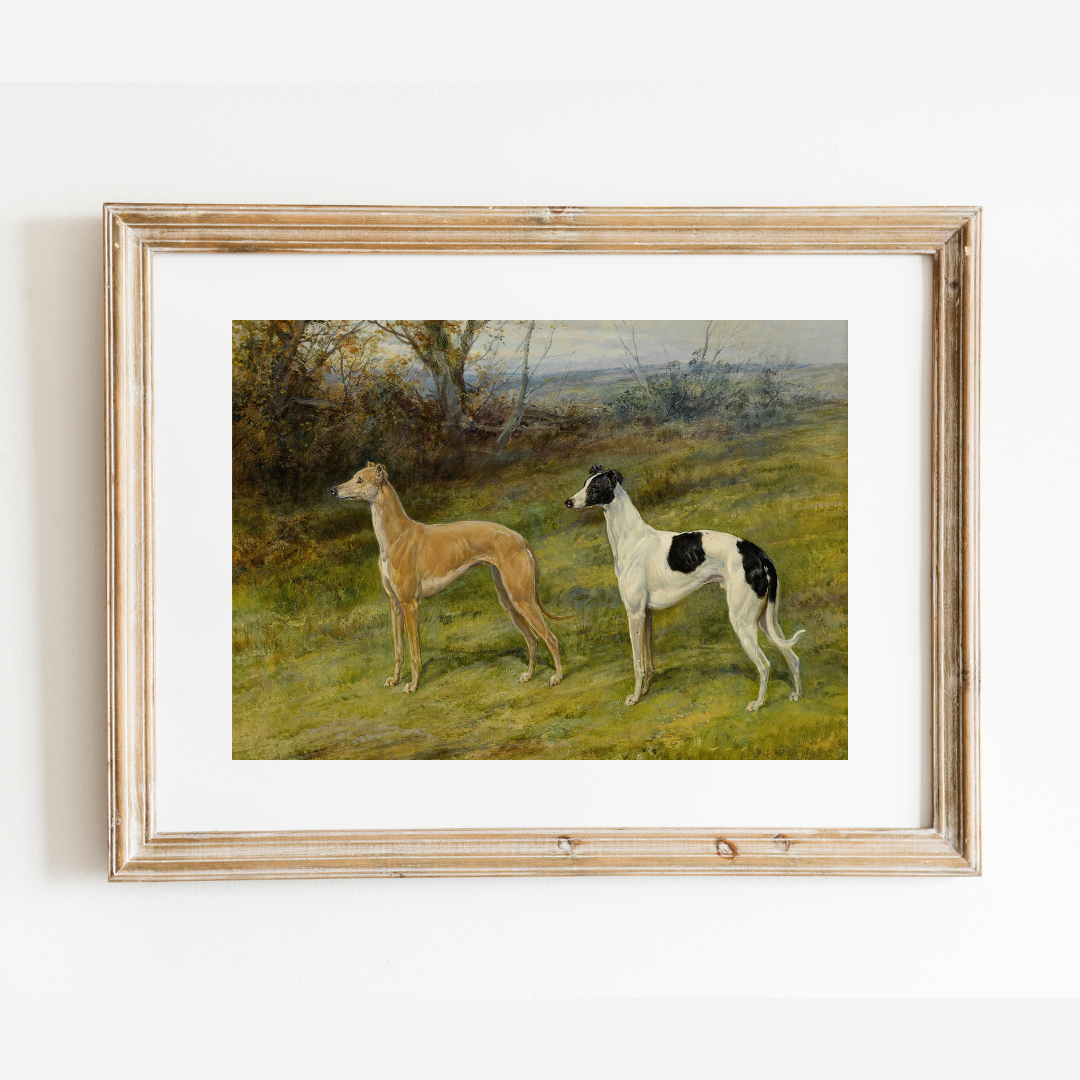 Greyhounds in Wales Antique Art Print