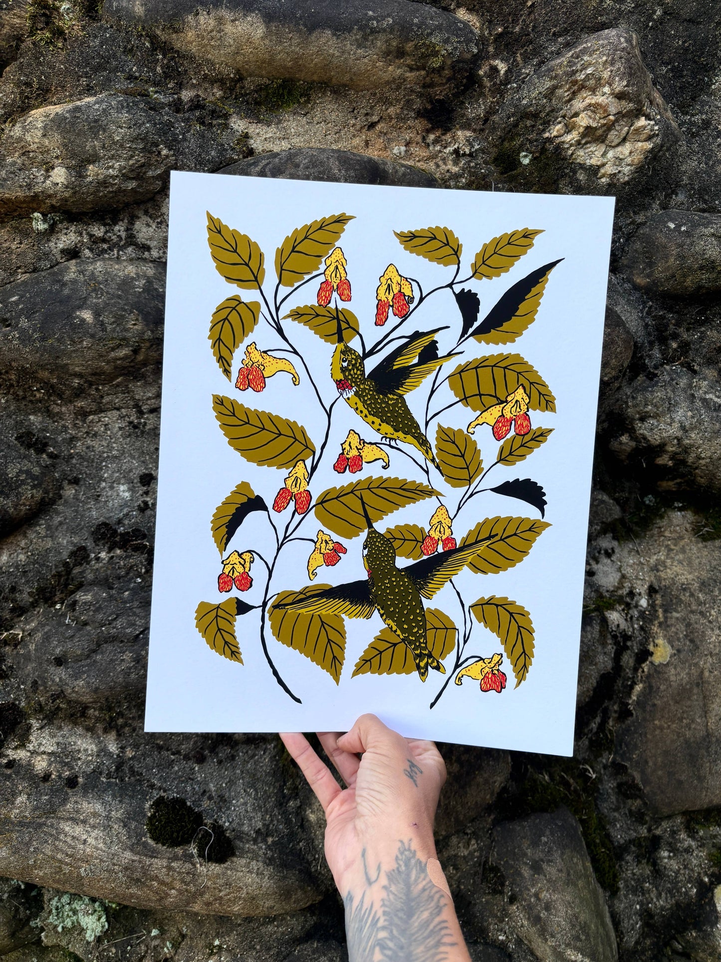 Jewelweed - 14x11 Print