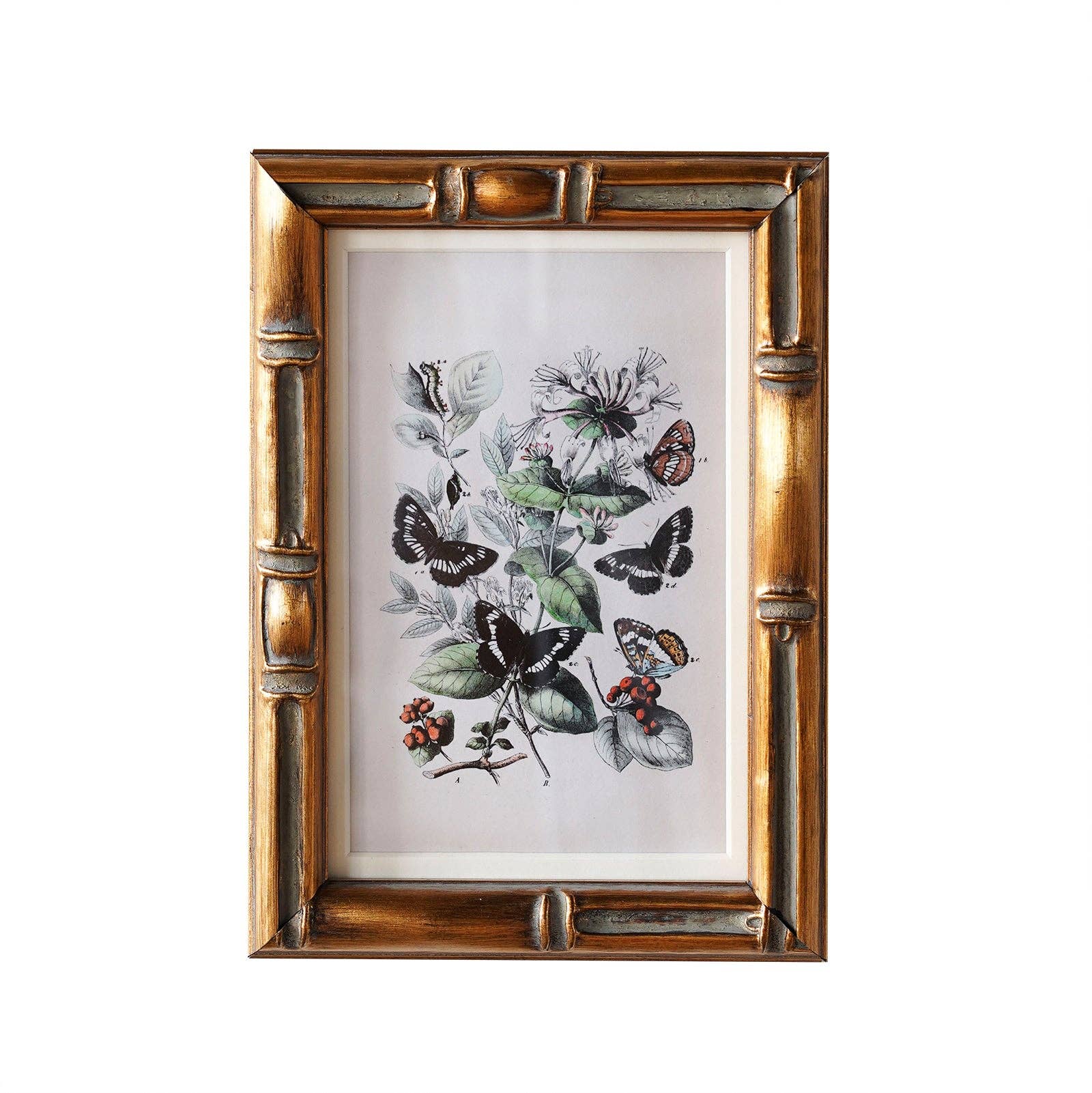 Burnley Matted Frame: 4" x 6" w. Stand