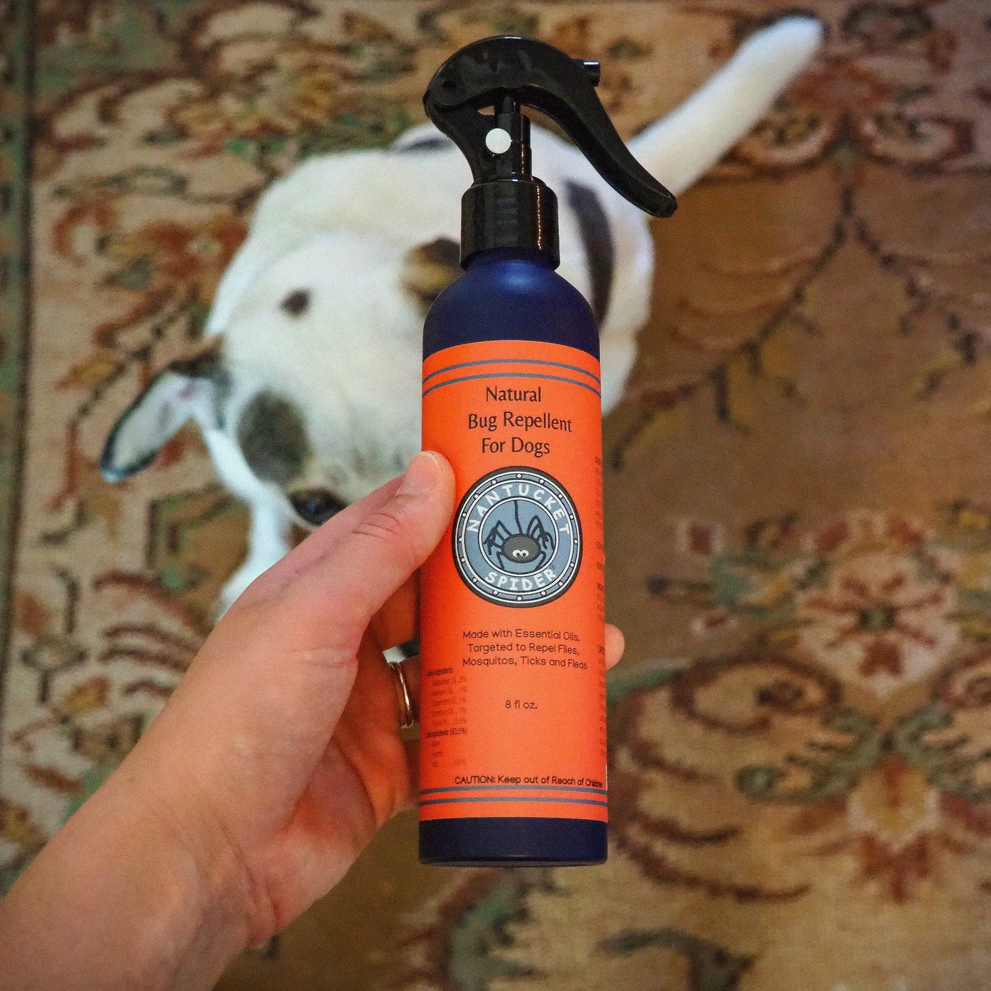 Natural Bug Repellent Spray For Dogs: 16 oz