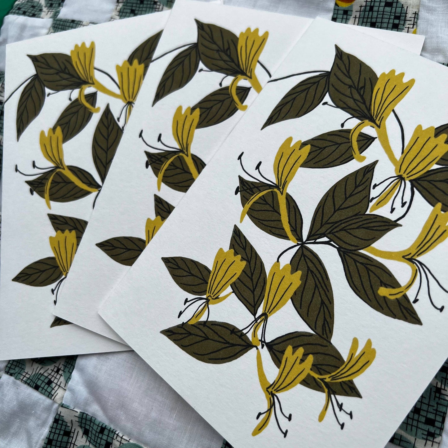 Japanese Honeysuckle - Invasive Pen Pal Cards: Individual Card