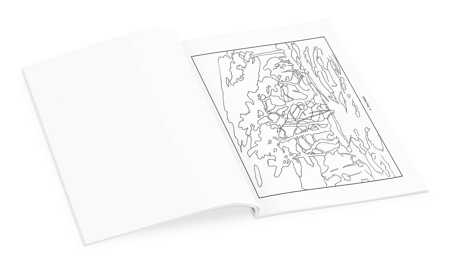 Tom Thomson Coloring Book