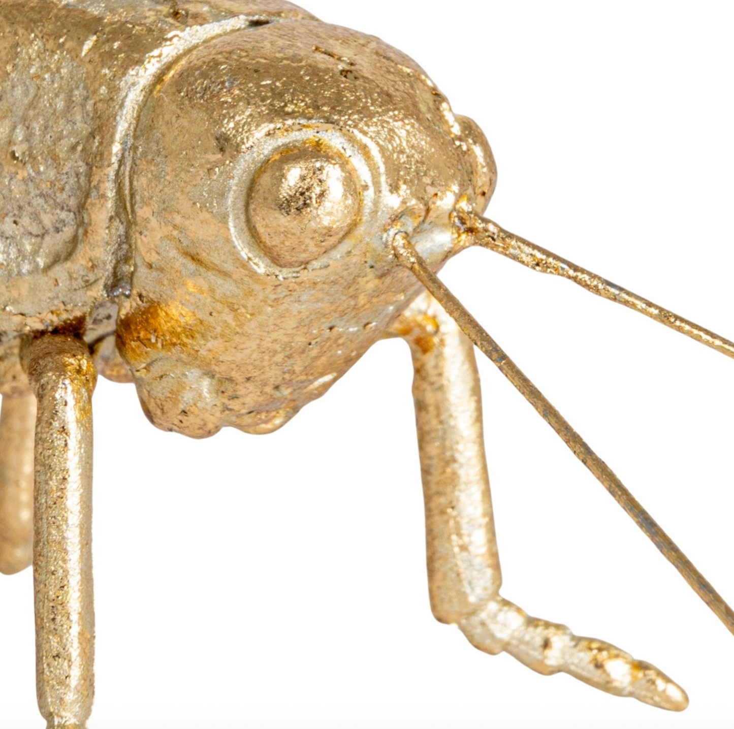 Gold Grasshopper