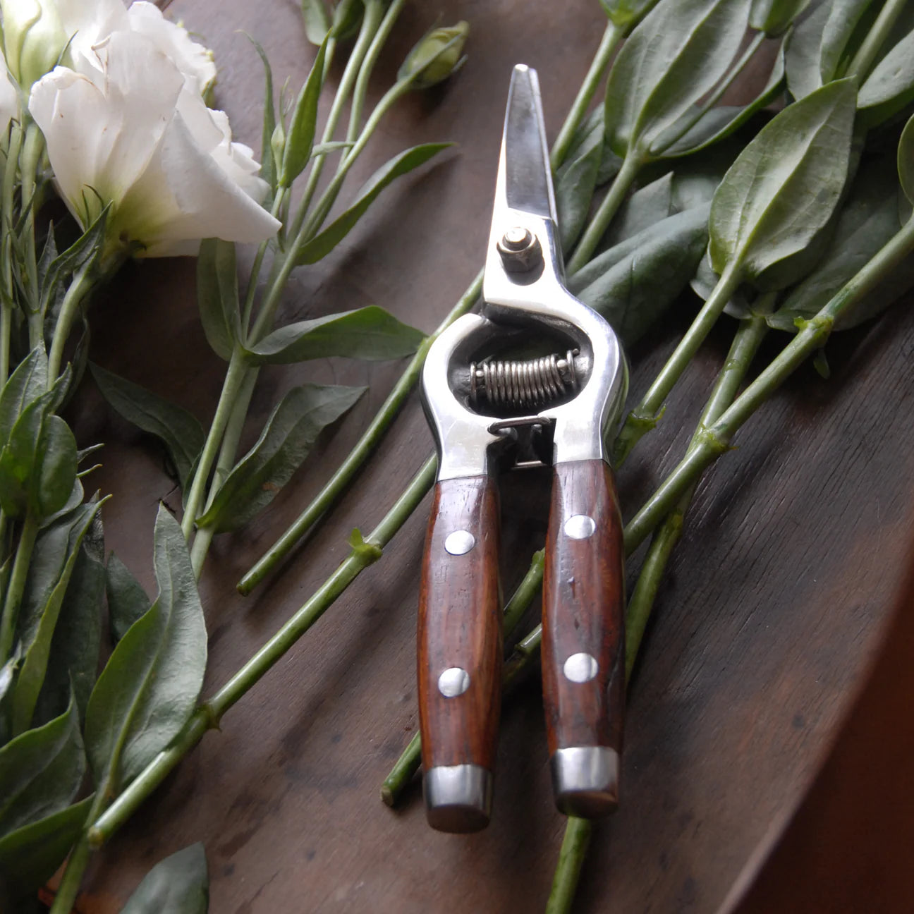 Redwood Flower Snips