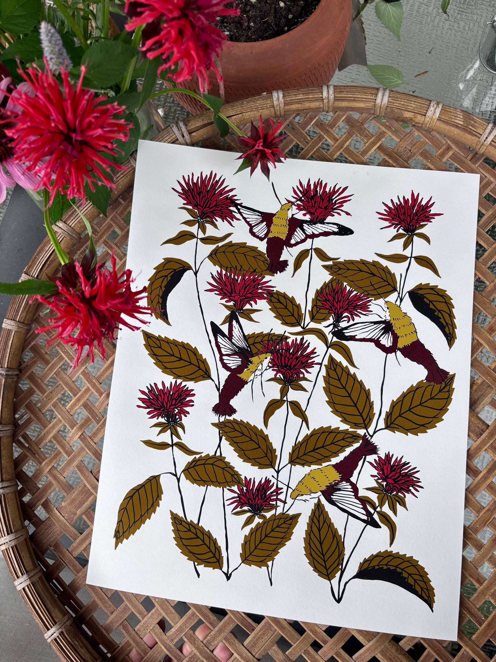 Bee Balm - 14x11 Print