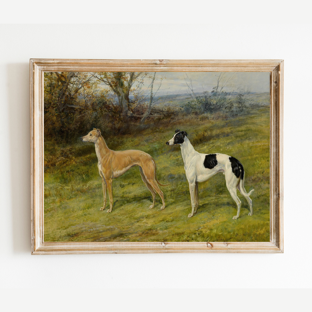 Greyhounds in Wales Antique Art Print