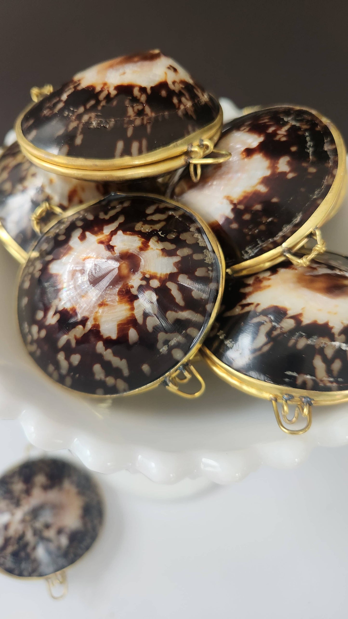 Polished Limpet Trinket Pill Box, Coin Purse