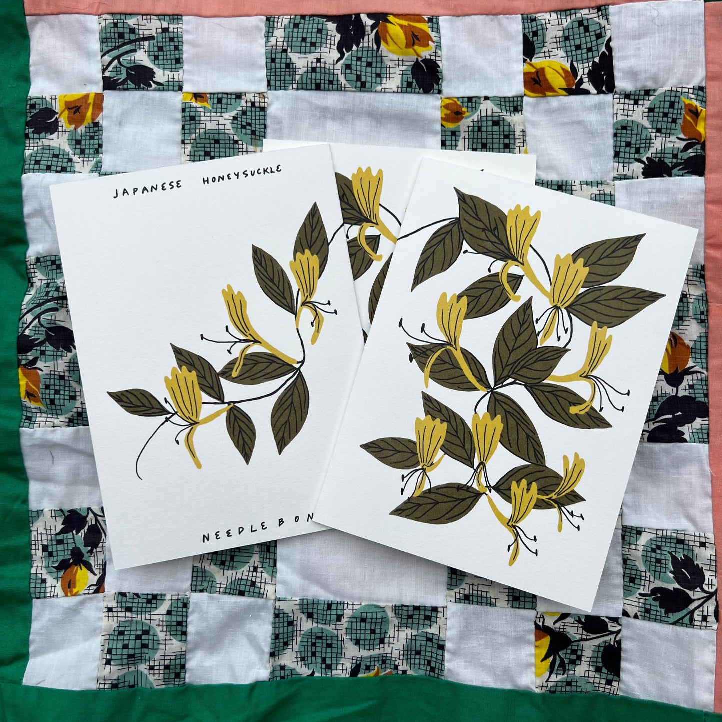 Japanese Honeysuckle - Invasive Pen Pal Cards: Individual Card