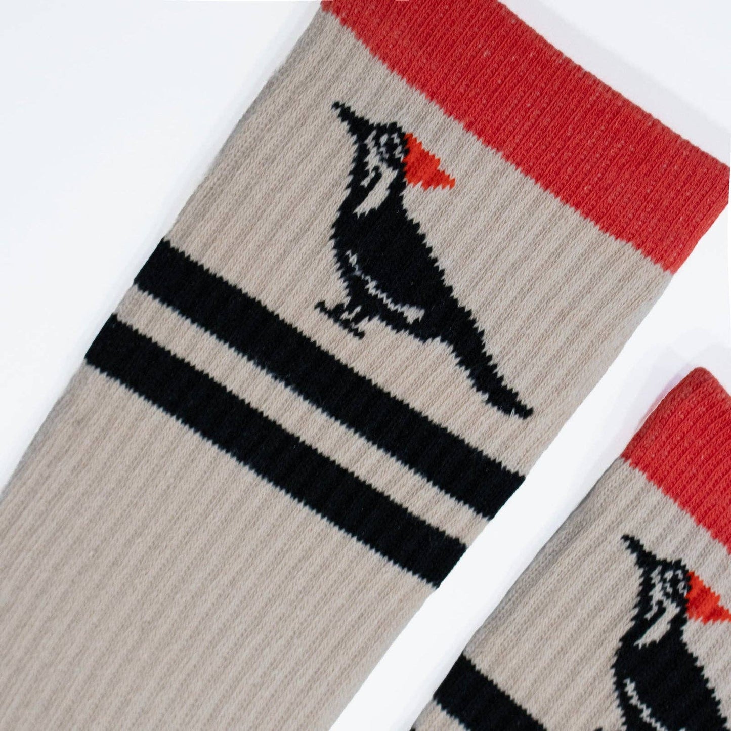 Pileated Woodpecker Socks