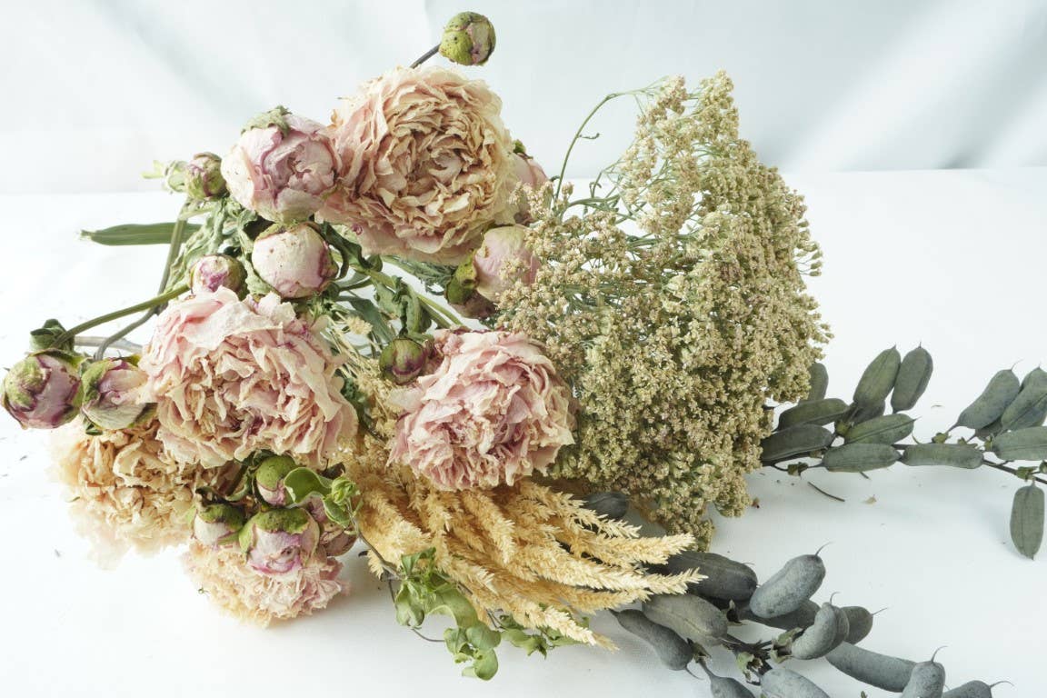 Yarrow-Neutral Tones