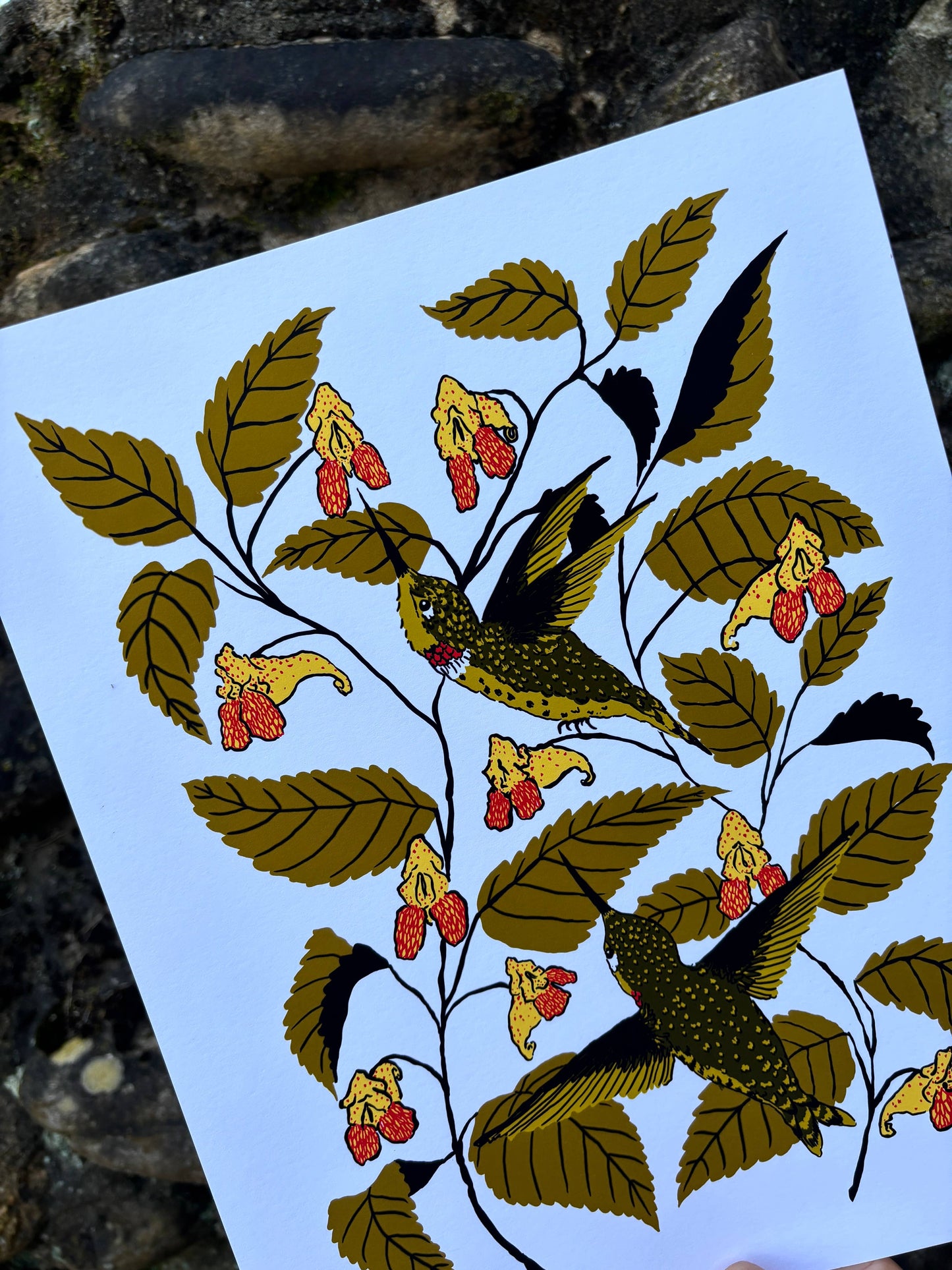 Jewelweed - 14x11 Print