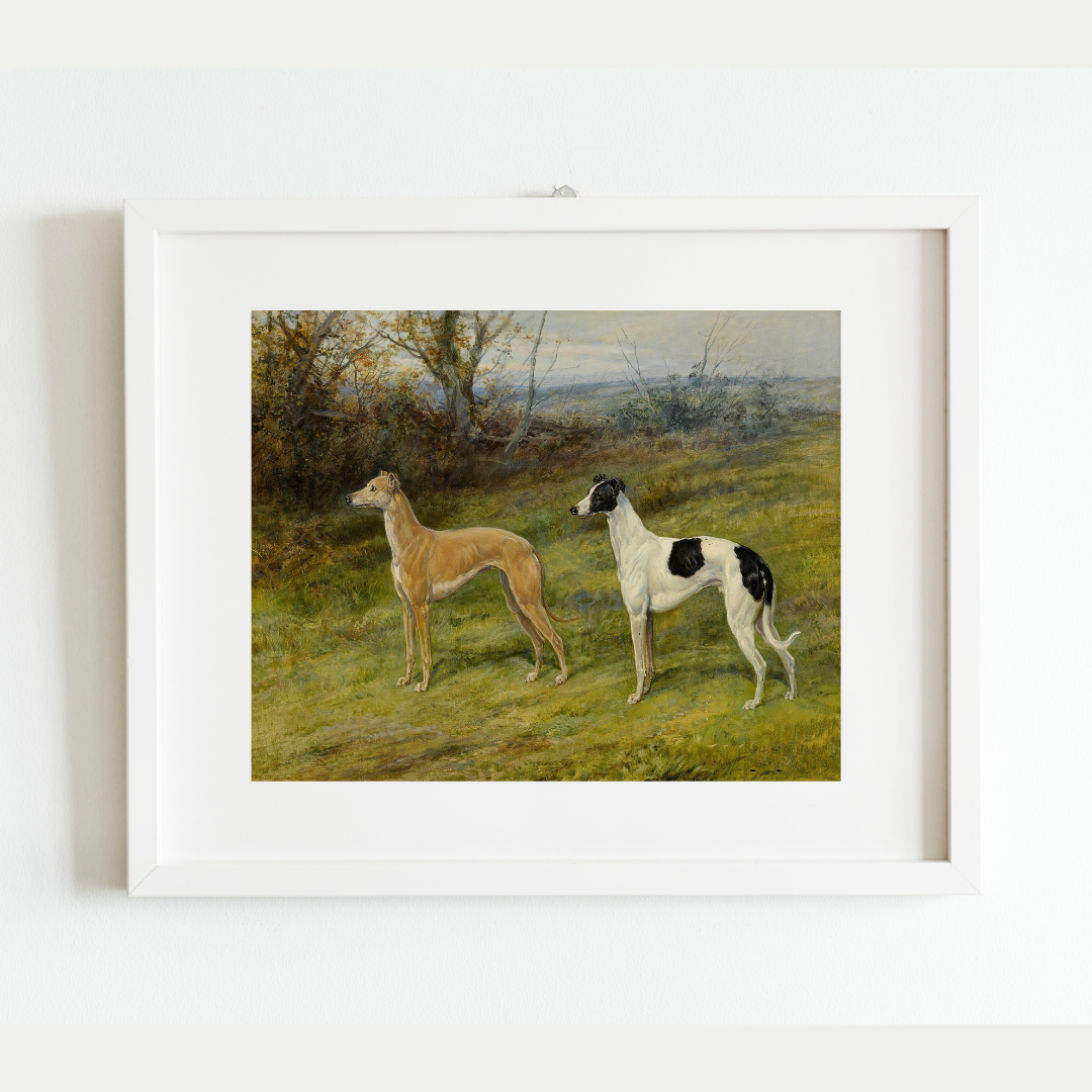 Greyhounds in Wales Antique Art Print