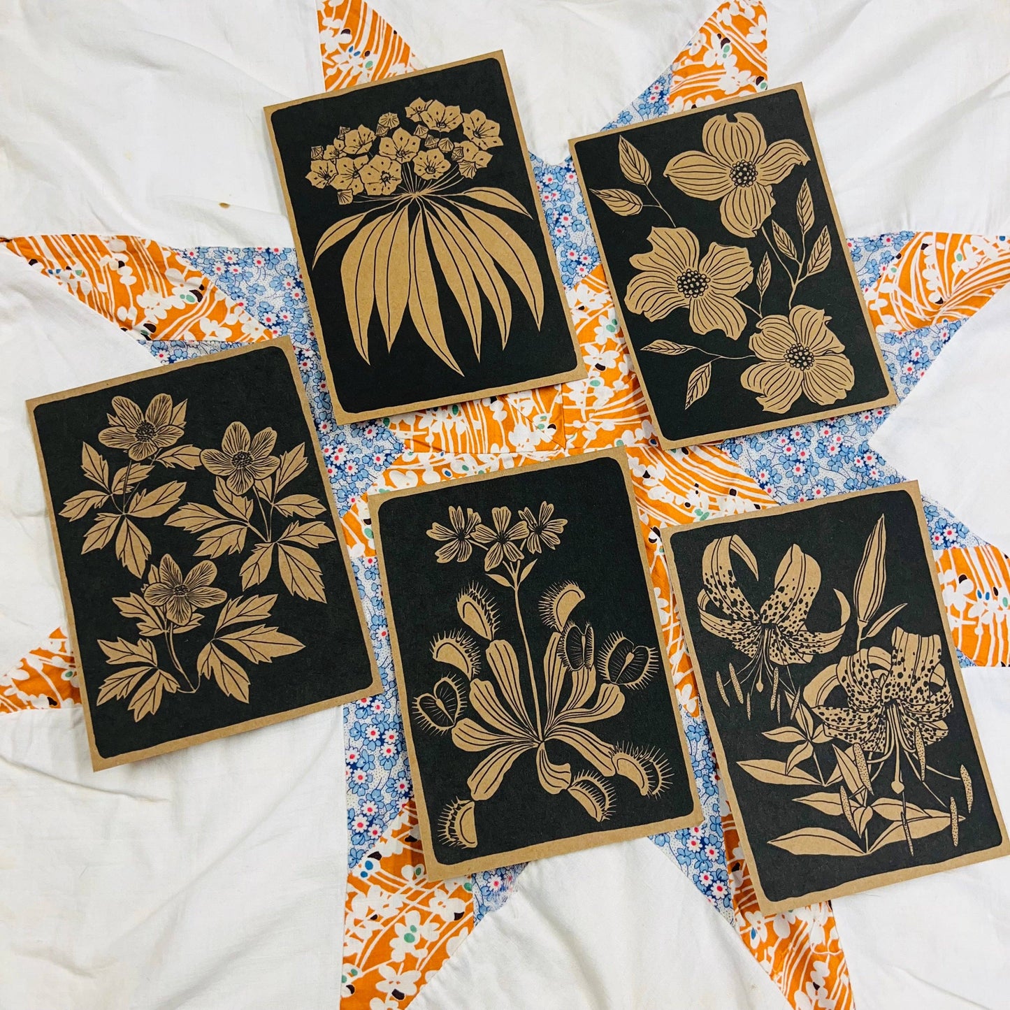 NC Native Plant Pen Pal Cards