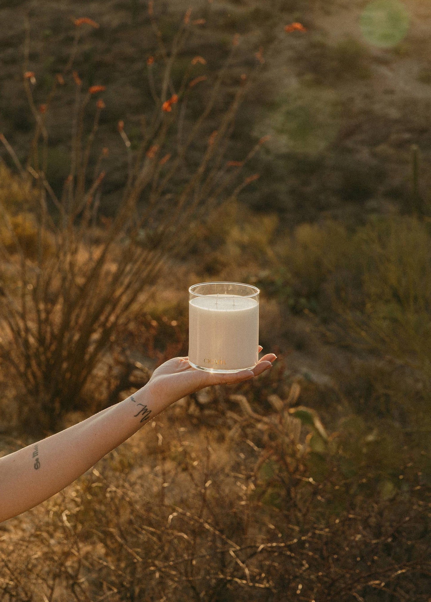 No. 07 Large Candle - Catalina Mountains
