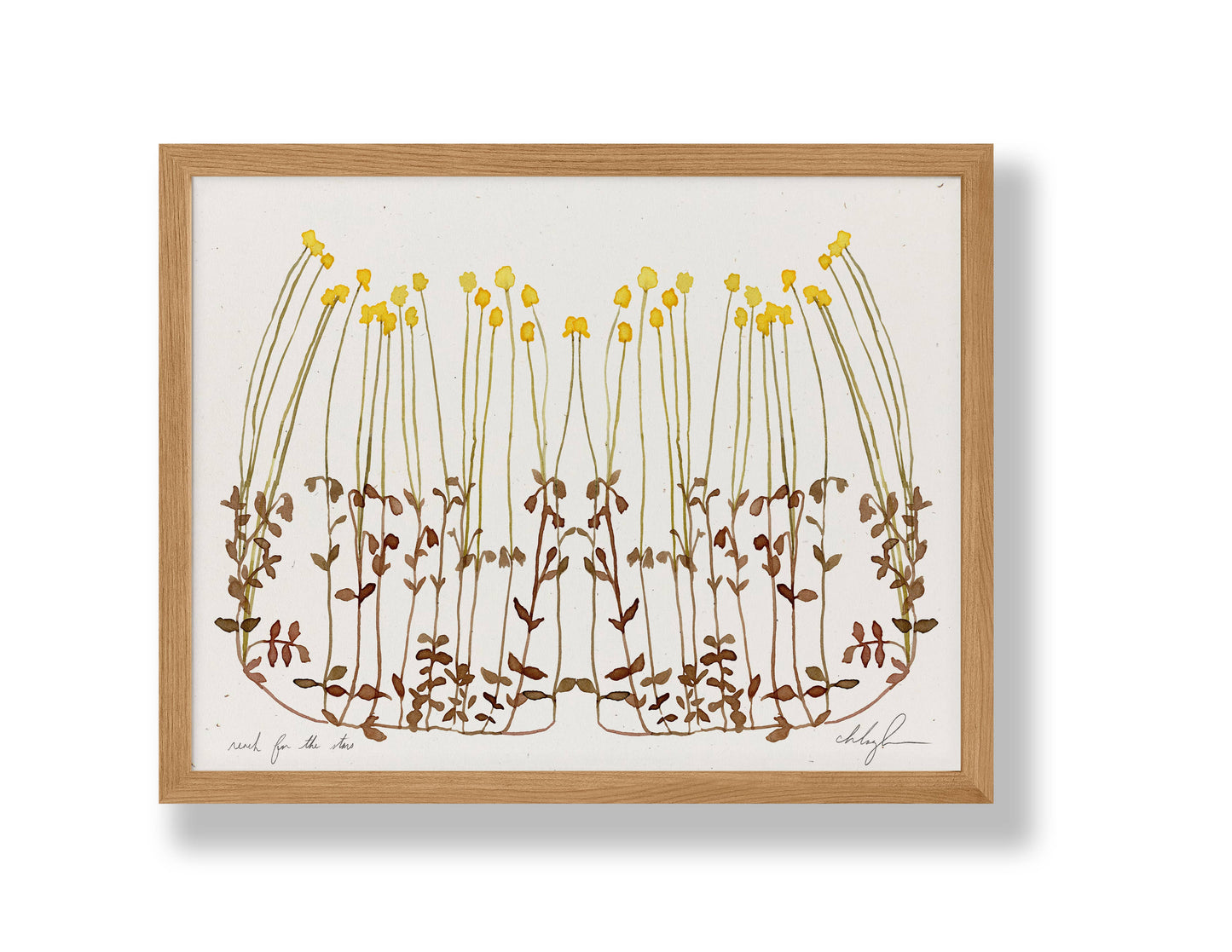 Reach For The Stars: 11 x 14