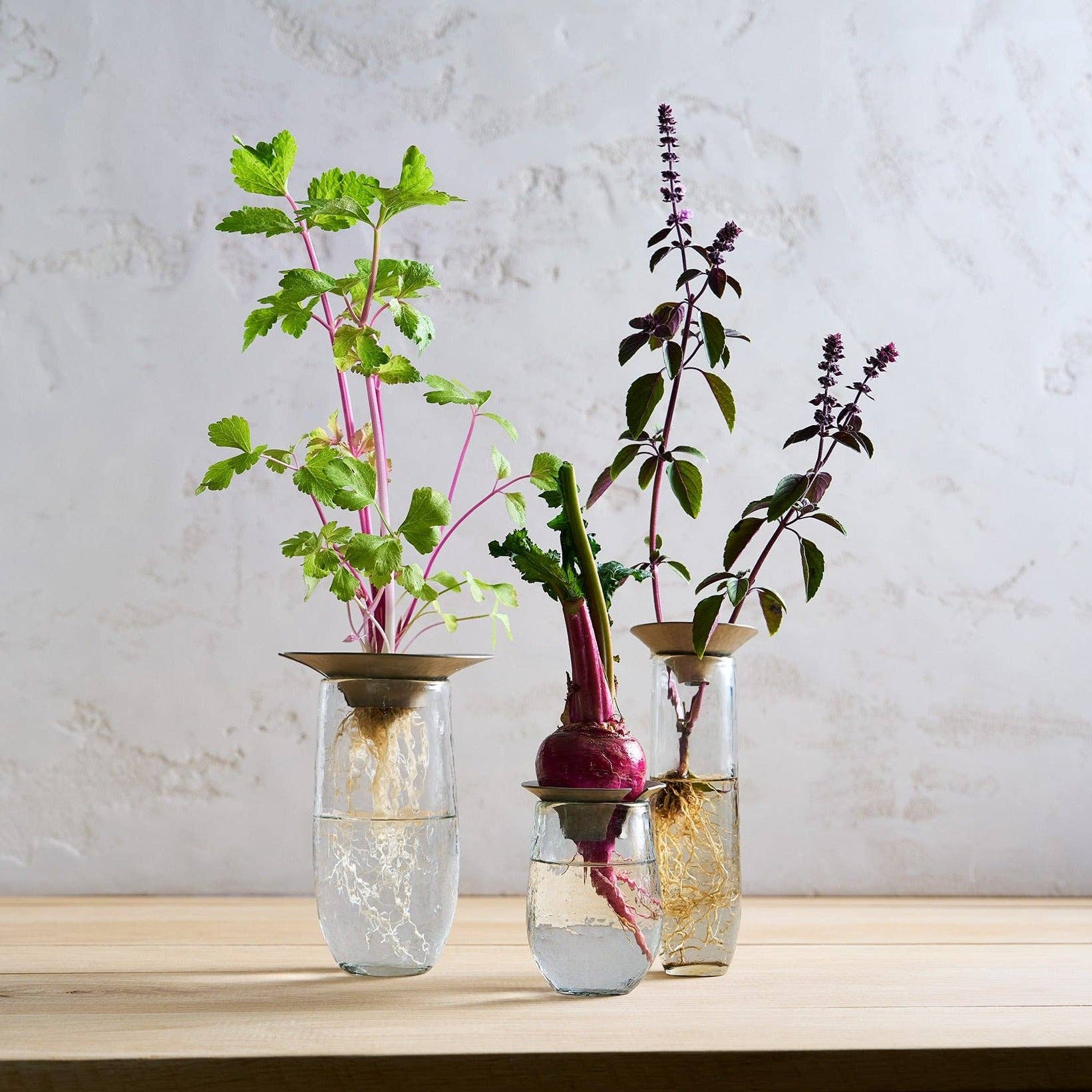 Floral Propagation Flutes - Set of 3