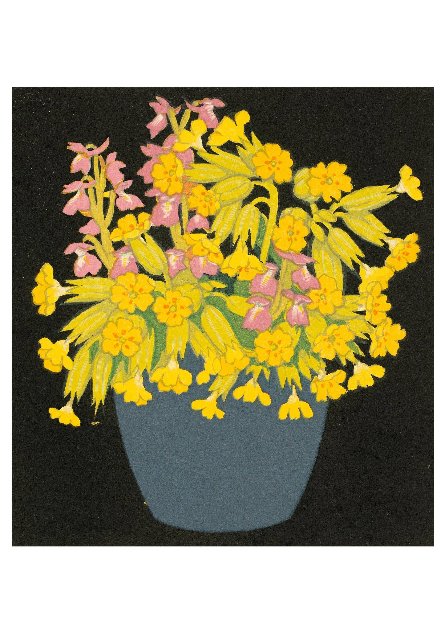 John Hall Thorpe Boxed Notecard Assortment