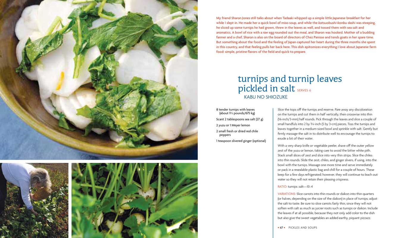 Japanese Farm Food by Nancy Singleton Hachisu