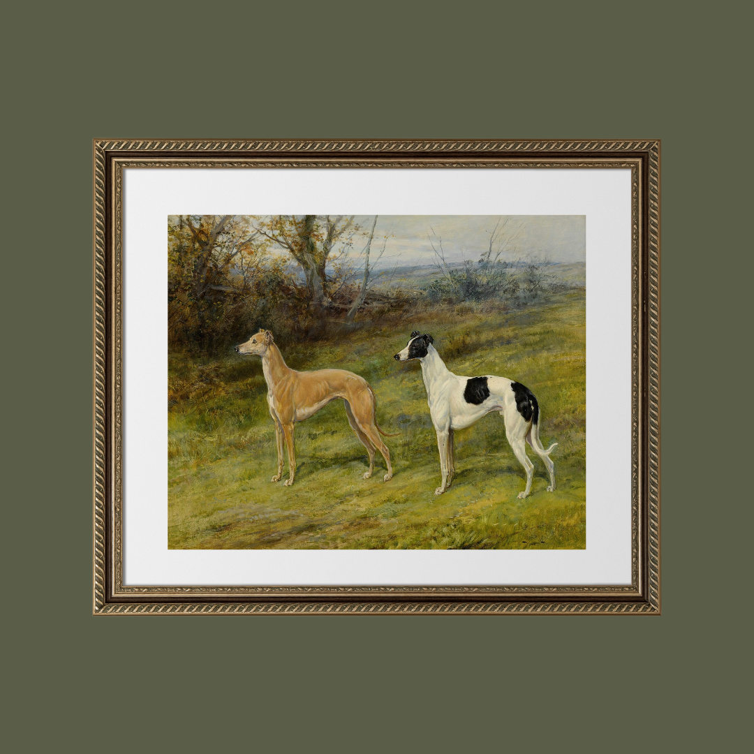 Greyhounds in Wales Antique Art Print