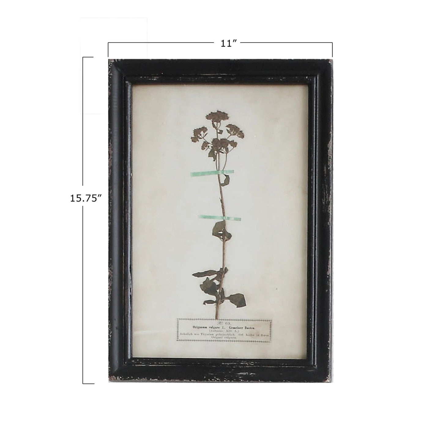 Botanical Journal Style Floral Art - 16 different styles