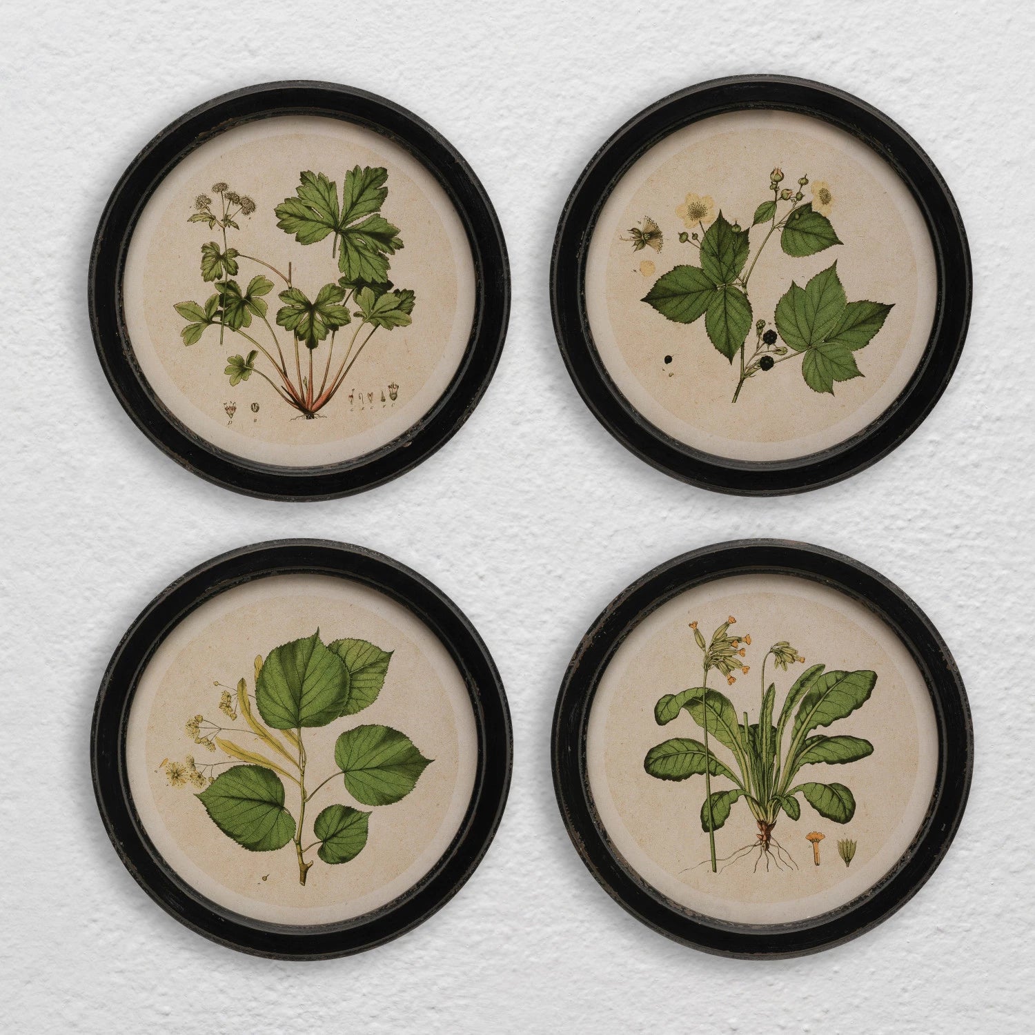 Framed Wall Decor with Botanical Print, 4 Styles