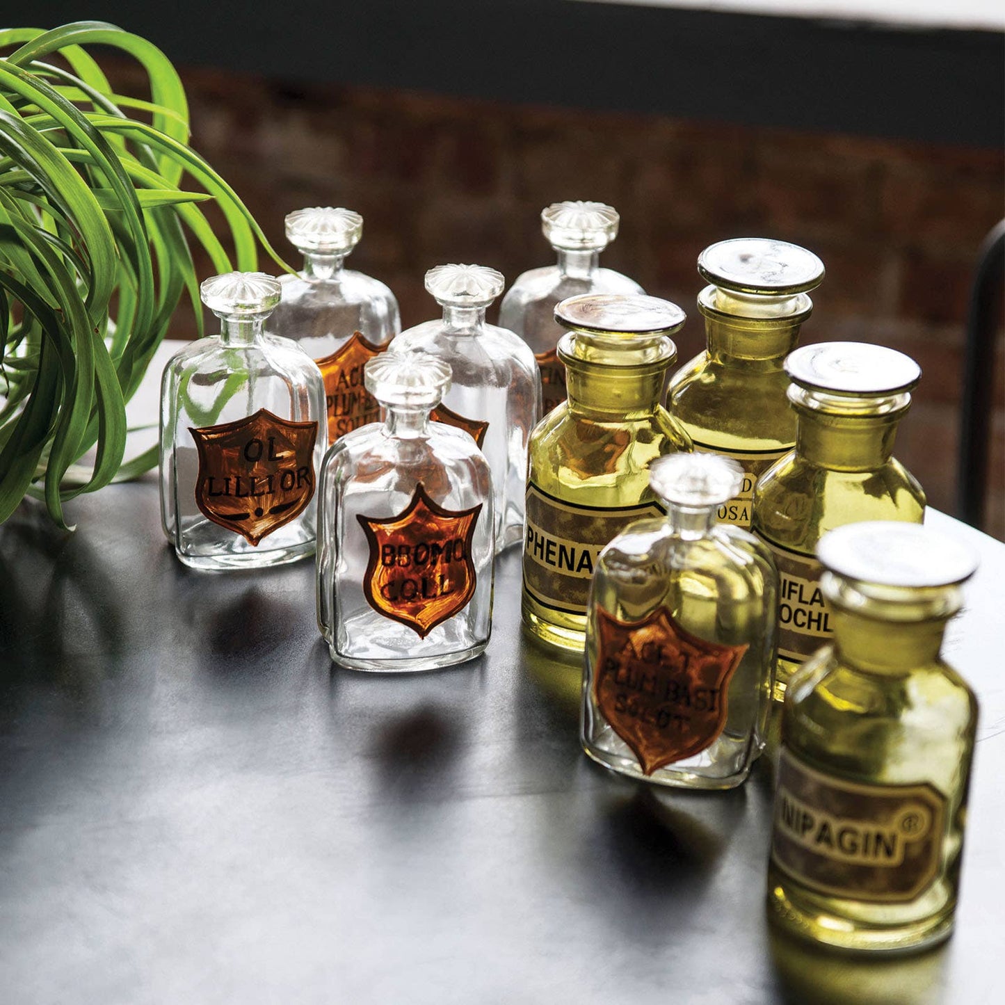 Painted Apothecary Bottles